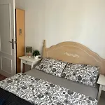Casa Lemon